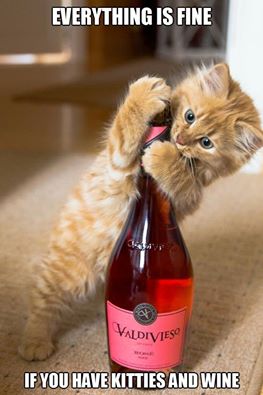 kitties & wine