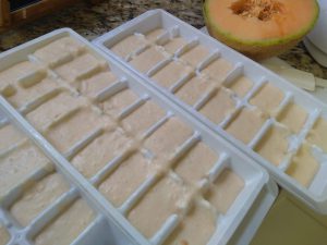 Cantaloupe Ice Cream Cubes